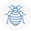 Bed Bug Extermination In Mossley